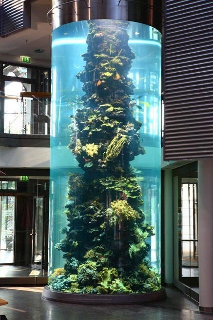 Gesamtaufnahme des Meerwasser-Aquariums der Geschäftsstelle Osterholz-Scharmbeck.